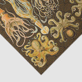 Cephalopod Octopus Tintenfisch Meeresnatur Seidenpapier (Ausschnitt)