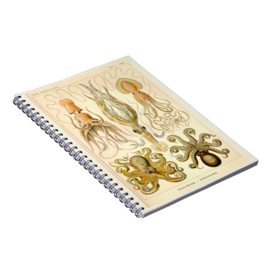 Cephalopod Octopus Tintenfisch Sea Notizblock (Rechte Seite)