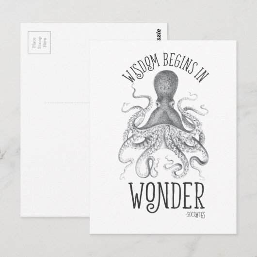 Cephalopod Postkarte (Vorne/Hinten)