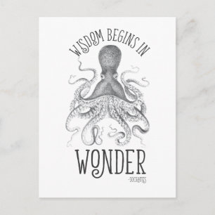 Cephalopod Postkarte