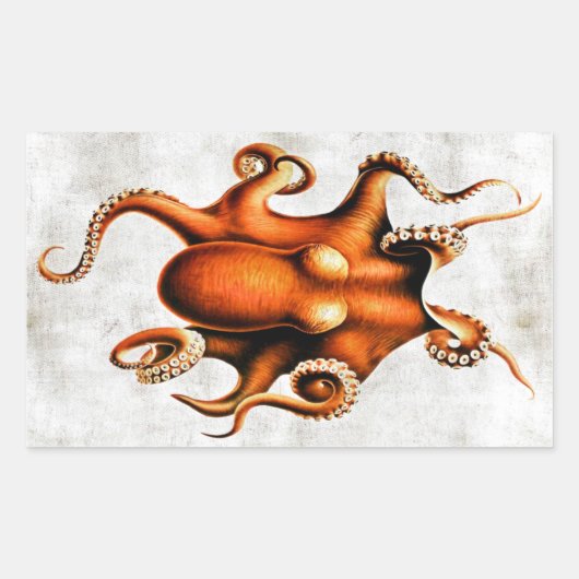 Cephalopoda der hawaiianischen Aufkleber (Vorderseite)