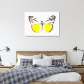 Cepora Aspasia Leinwanddruck (Insitu (Schlafzimmer))