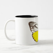 Cepora aspasia zweifarbige tasse (Links)