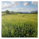 Ceramic Tile Fliese (Vorderseite)