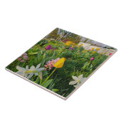 Ceramic Tile Fliese (Seite)