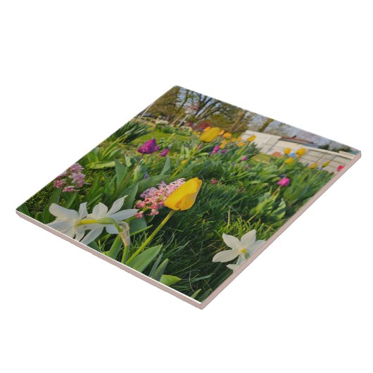 Ceramic Tile Fliese (Seite)