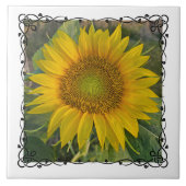 Ceramic Tile Fliese (Vorderseite)