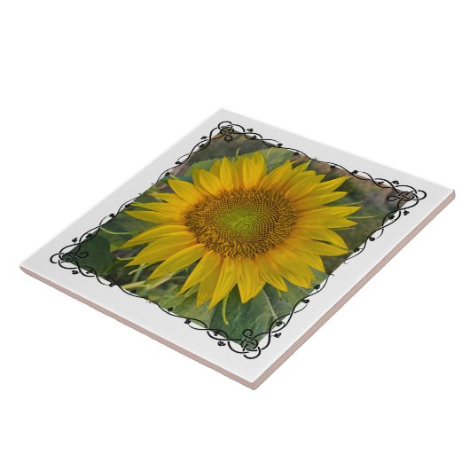 Ceramic Tile Fliese (Seite)