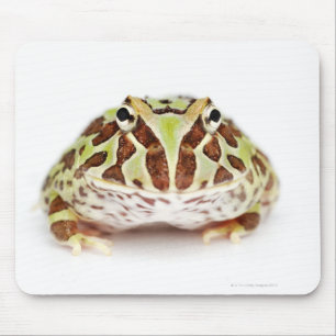 Ceratophrys Cranwelli, Cranwells gehörnter Frosch Mousepad