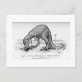 Ceratosaurus Art Postcard Postkarte (Vorderseite)