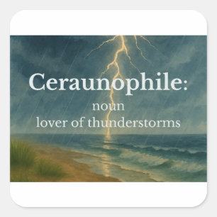 Ceraunophile Magnet-Liebhaber von Gewittern Quadratischer Aufkleber