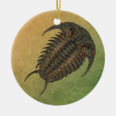 Ceraurus Fossil Trilobit Keramikornament (Vorne)