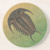 Ceraurus Fossil Trilobit Untersetzer (Vorne)