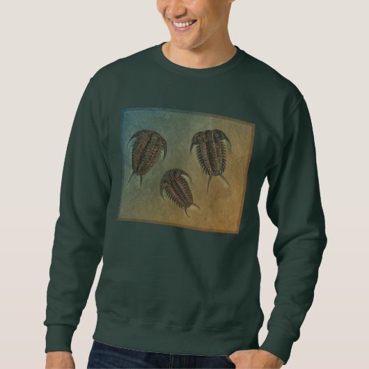 Ceraurus und Leviceraurus Sweatshirt (Vorderseite)