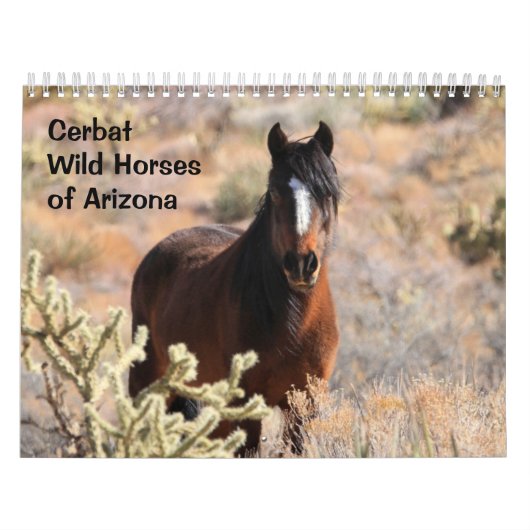 Cerbat Wild Horses Calendar Kalender (Titelbild)