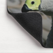 Cereopsis novaehollandiae oder Cape Barren Goose Mousepad (Ecke)