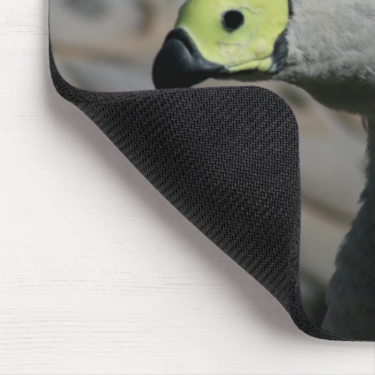 Cereopsis novaehollandiae oder Cape Barren Goose Mousepad (Ecke)