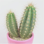 Cereus cactus aufkleber (Vorderseite)