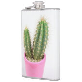 Cereus cactus flachmann (Links)