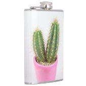 Cereus cactus flachmann (Rechts)