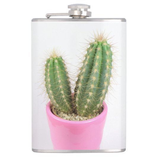Cereus cactus flachmann (Vorderseite)