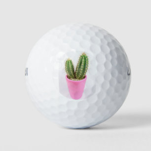 Cereus cactus in einem rosa Topf Golfball