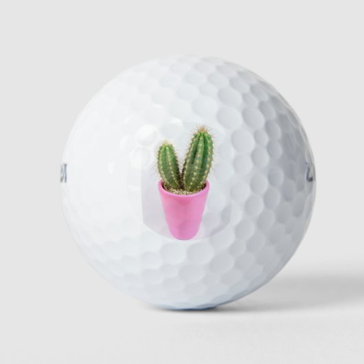 Cereus cactus in einem rosa Topf Golfball (Vorderseite)