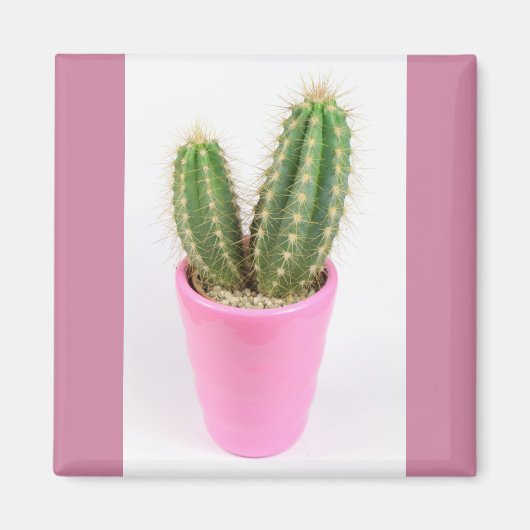 Cereus cactus in einem rosa Topf Magnet (Vorne)