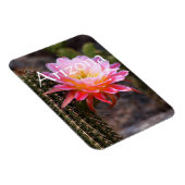 Cereus in rosa Kaktusblüte, Arizona Magnet (Rechte Seite)