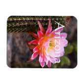 Cereus in rosa Kaktusblüte, Arizona Magnet (Horizontal)