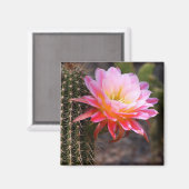 Cereus in rosa Kaktusblüte Magnet (Vorderseite/Rückseite)