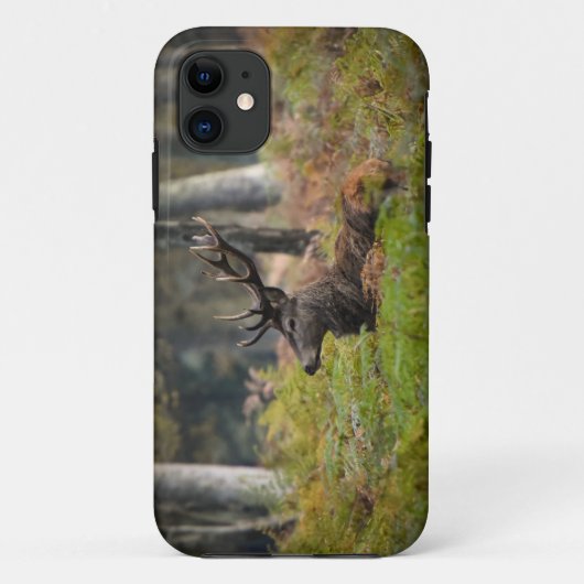 Cerf en forêt de fontainebleau Case-Mate iPhone hülle (Rückseite)