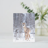 Cerf Postkarte (Stehend Vorderseite)
