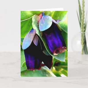 CERINTHE NOTECARD/BLANK KARTE