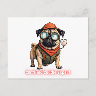 Certified Cuddle Expert Invitation Postcard Einladungspostkarte