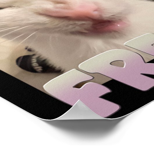 Certified Freak Cat Meme Funny Pet Spaß Poster (Ecke)