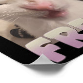 Certified Freak Cat Meme Meme Offensive Memes Funn Poster (Ecke)