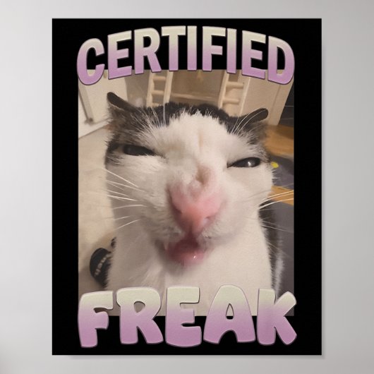 Certified Freak Cat Meme Meme Offensive Memes Funn Poster (Vorne)