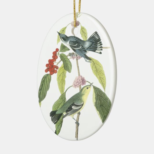 Cerulean Trällerer, John Audubon Keramik Ornament (Links)