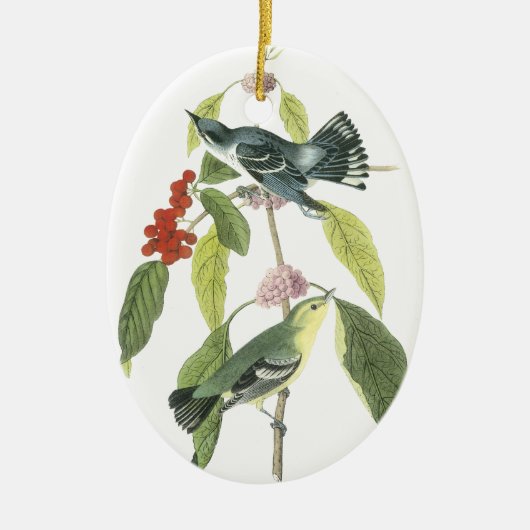 Cerulean Trällerer, John Audubon Keramik Ornament (Vorne)