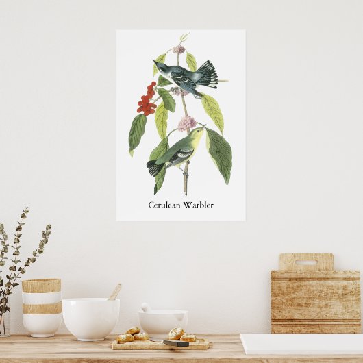 Cerulean Warbler, John Audubon Poster (Küche)
