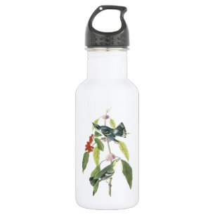 Cerulean Warbler von Audubon Trinkflasche