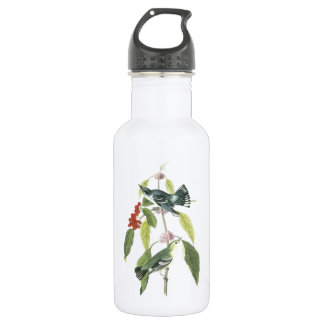 Cerulean Warbler von Audubon Trinkflasche
