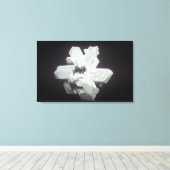 Cerussite-Kristalle (PbC03, Bleicarbonat), Namibi Leinwanddruck (Insitu (Holzboden))