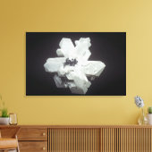 Cerussite-Kristalle (PbC03, Bleicarbonat), Namibi Leinwanddruck (Insitu (Wohnzimmer))