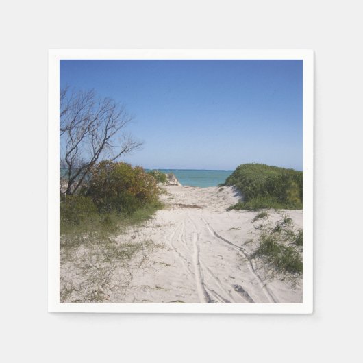 Cervantes WA Paper Serviette (Vorderseite)