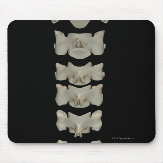 Cervical Vertebrae Mousepad (Vorne)