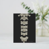 Cervical Vertebrae Postkarte (Stehend Vorderseite)