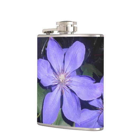 Césarine Flachmann (Links)