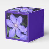 Césarine Geschenkschachtel (Vorderseite)